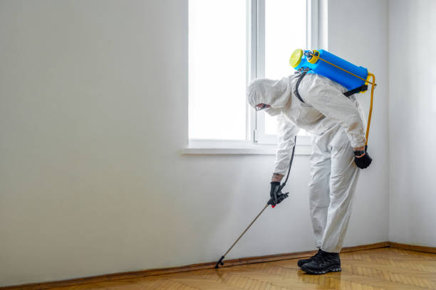 Best Pest Removal Services  in St Marys, GA