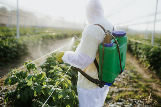 Best Best Pest Control Companies  in St Marys, GA